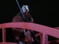 RED-BRIDGE