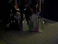 videos de Robert the Musician