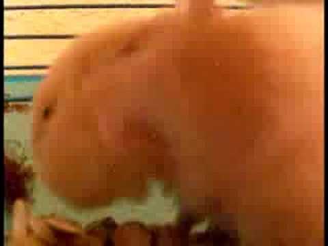 Видео 'Хомяк разгружается'