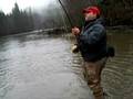 videos de Steelhead Spey-rod Heaven