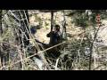 Wildbach-Toni: Die Pirsch