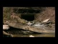 videos de Eric Stemen sample reel
