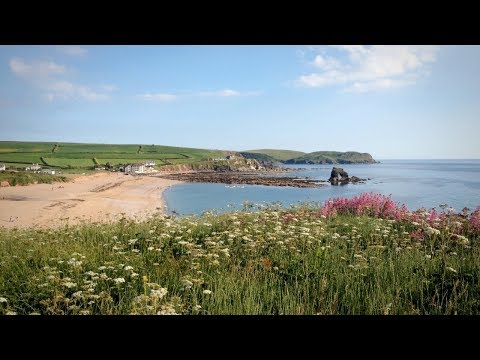 VISIT SOUTH DEVON