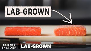 Could Lab-Grown Salmon Be The Future Of Fish?