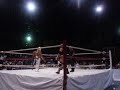 El Perro Aporrea a Mistico