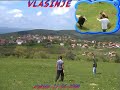 vlasinje