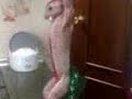 CONEJO DIABOLICO 3 (CONEJO CUDEIRO) (SU MUERTE) CONEJO DIABOLICO 3 (CONEJO CUDEIRO) (SU MUERTE)