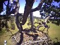 Cleaning the Cam Lenses & Resupporting the Nest