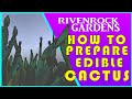 Nopal Preparation