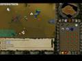 bleu dragon ownded