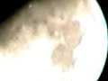 Nalain e Paak symbol on the Moon Nalain e Paak symbol on the Moon