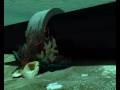 videos de TRASVASE SUBMARINO DESDE EL RODANO HASTA BARCELONA