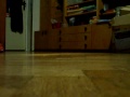 rc car 1203 tunin xmods