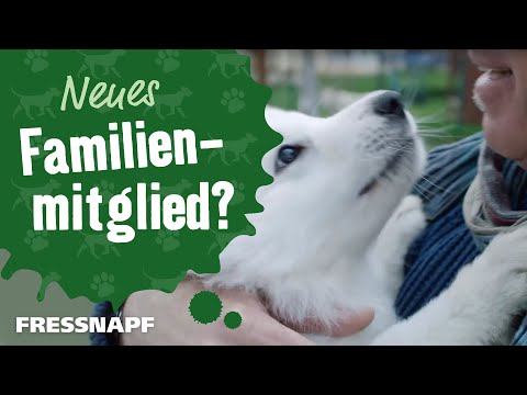 Ein Hund zieht ein | FRESSNAPF
