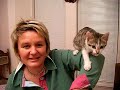 This is a video that the user has chosen on youtube
