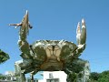 Crab Song