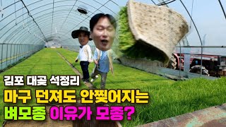 토생수