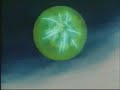 broly.html