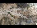 videos de JERUZALEM-BAYIT-1