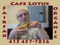 Lotus Cafe