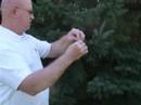 Christmas Tree Ornament Clip