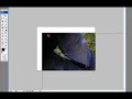 Crea Tus Propias Brushes en PS Crea Tus Propias Brushes en PS