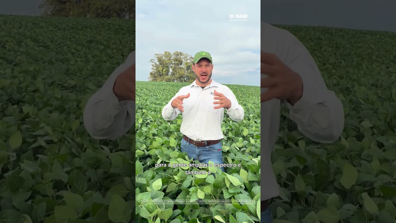 A Ferrugem avança rápido na lavoura de Soja.