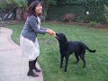 Jumping Jack