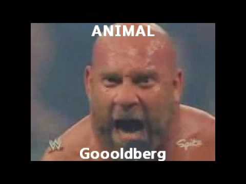 WWE Smackdown vs Raw 2011: wwe wii 2011. WWE Smackdown vs Raw 2011: