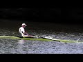 AVIRON