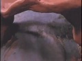 PROMETHEUS' GARDEN Trailer