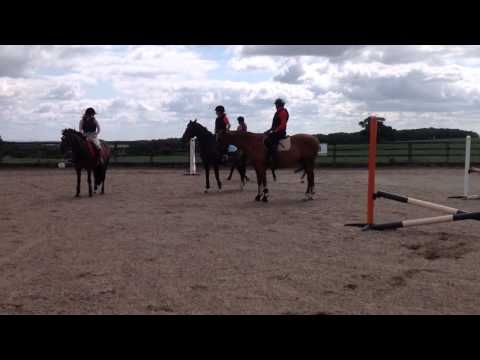 - Fallowfen Training Kennels - Fallowfen Training Kennels