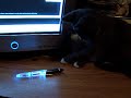 Jiggy with a pen