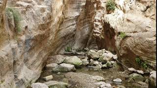 VIDEOS + 69 Avakas George Schlucht Zypern Akamas Kurzvideo 010