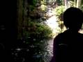 videos de cenote ikkil 2