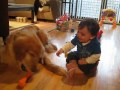 Baby and Dog share a bone and a laugh