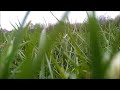 Galaxy S2 falls from sky... (RC quad crash)