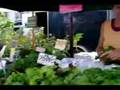 The Arcata Farmers Market