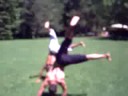 ninja 13sincro