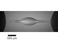 Decane Liquid Lens Pinch-off