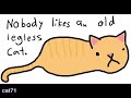 funny cat pictures! 2!!!