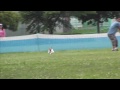 Click here to watch this video 2011 6/5 K9 木曽三川大会 スモールドック 決勝 リン