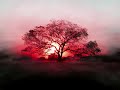please subscribe
