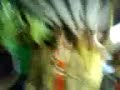 viktor nagual b2b dj mat -- viktor nagual playing bedrock - heaven scent (greg downey rmx)