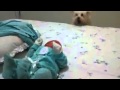 View Video