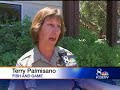 Coyotes Kill Cats, Injure Dogs In Marina Coyotes Kill Cats, Injure Dogs In Marina