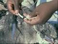 CATFISH JUGGING trotline day 1 tips