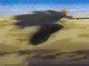 Bleach AMV-I\