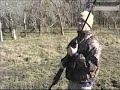 airgun pig hunting airgun pig hunting