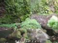 Dominica!
